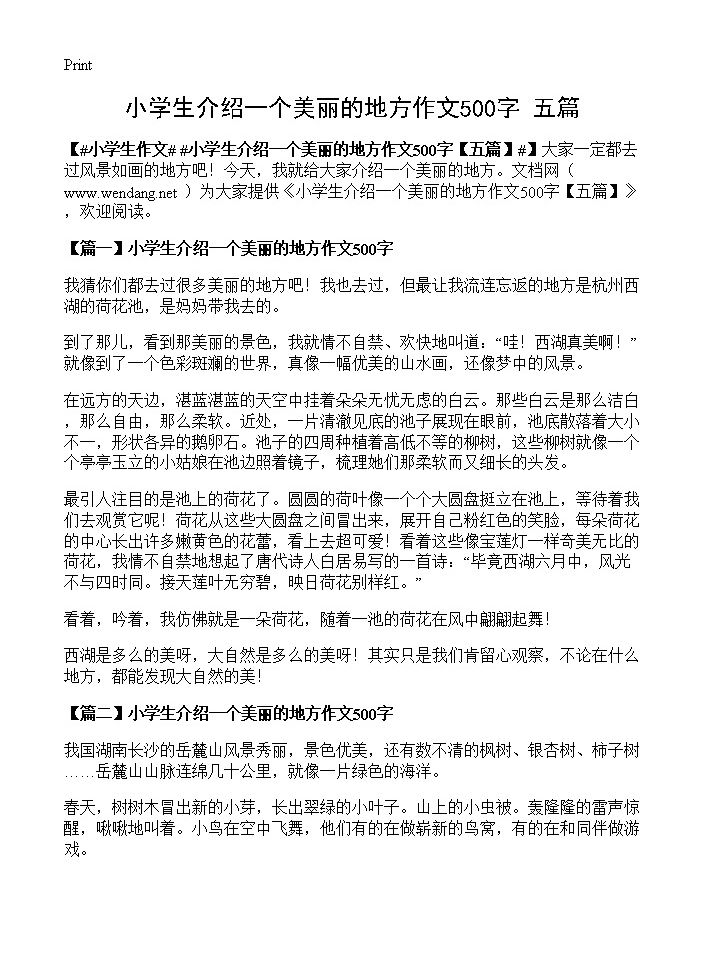 小学生介绍一个美丽的地方作文500字