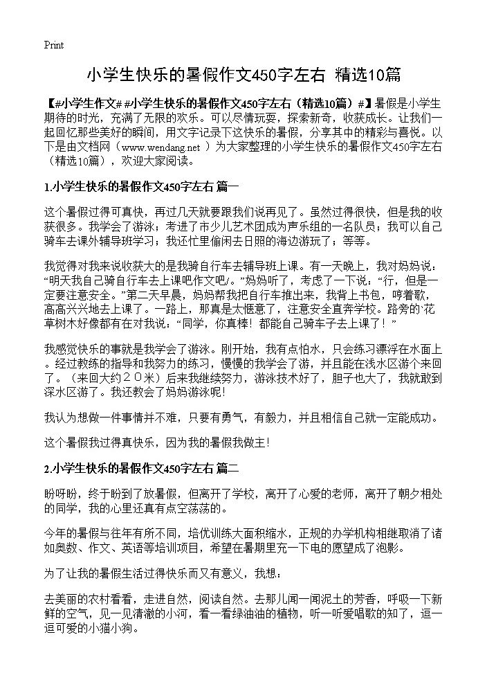 小学生快乐的暑假作文450字左右10篇