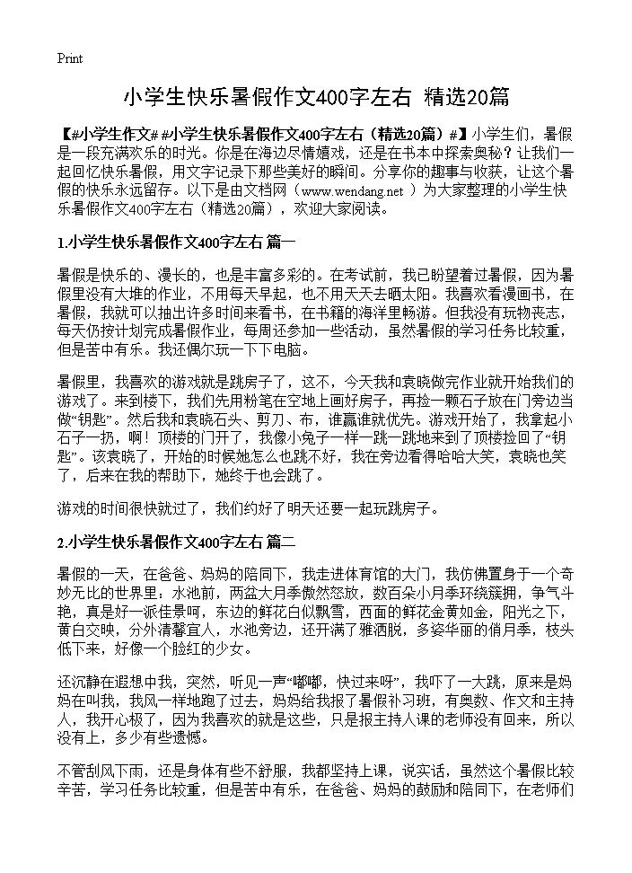 小学生快乐暑假作文400字左右20篇