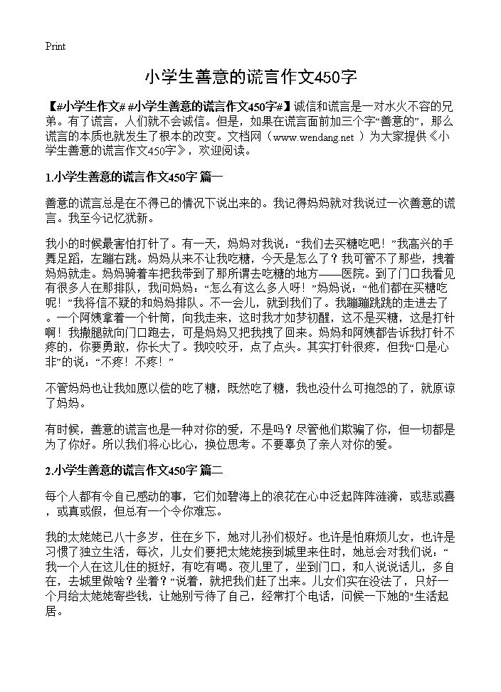 小学生善意的谎言作文450字