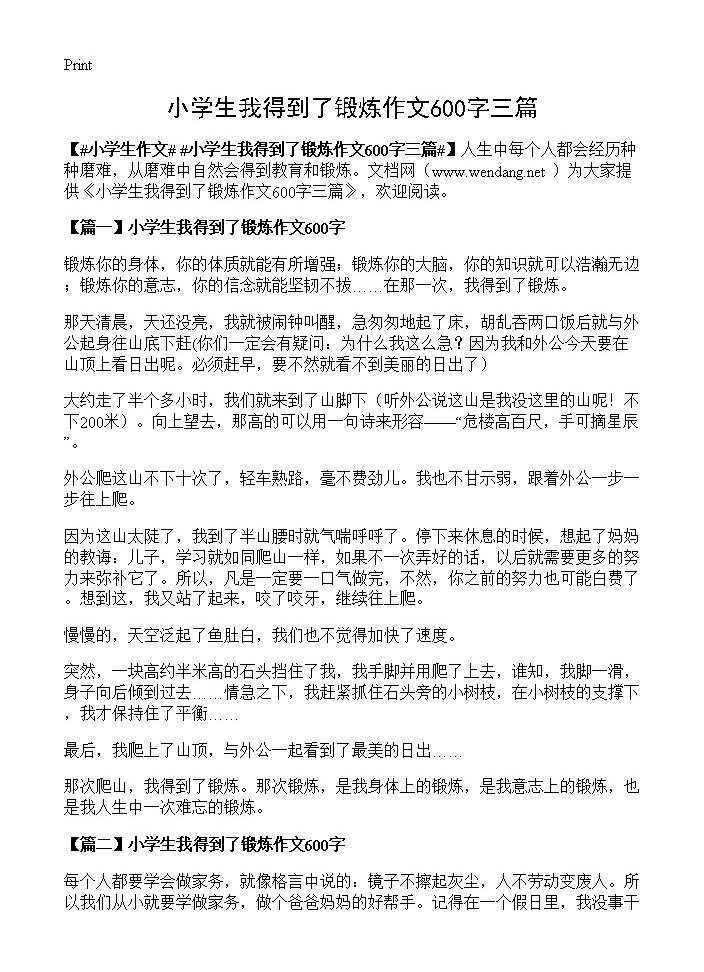 小学生我得到了锻炼作文600字三篇