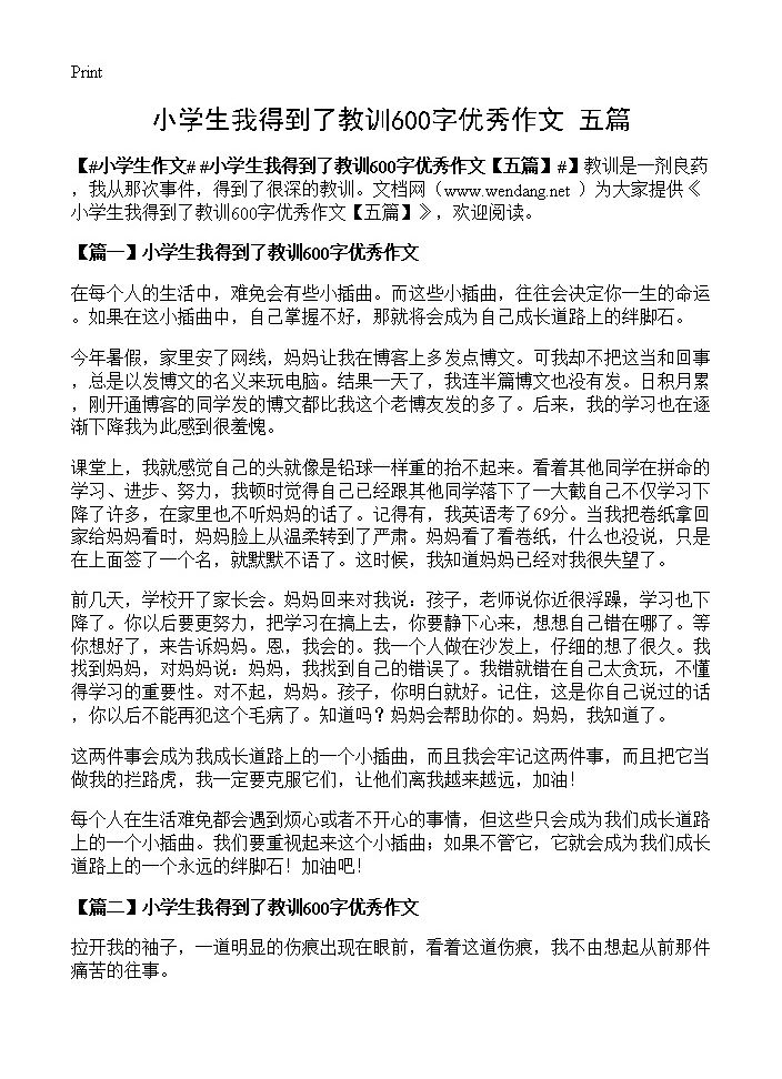 小学生我得到了教训600字优秀作文