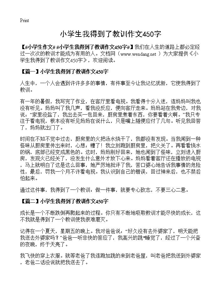 小学生我得到了教训作文450字