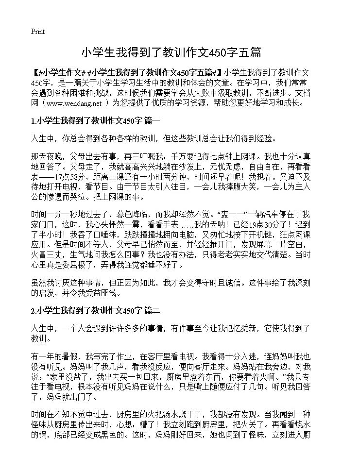 小学生我得到了教训作文450字五篇