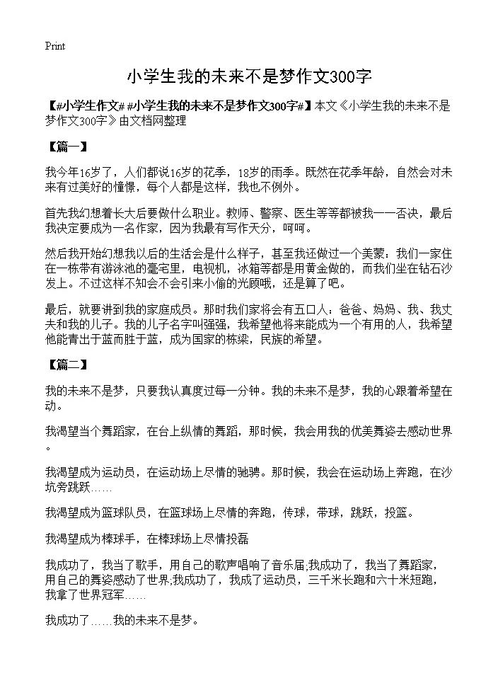 小学生我的未来不是梦作文300字