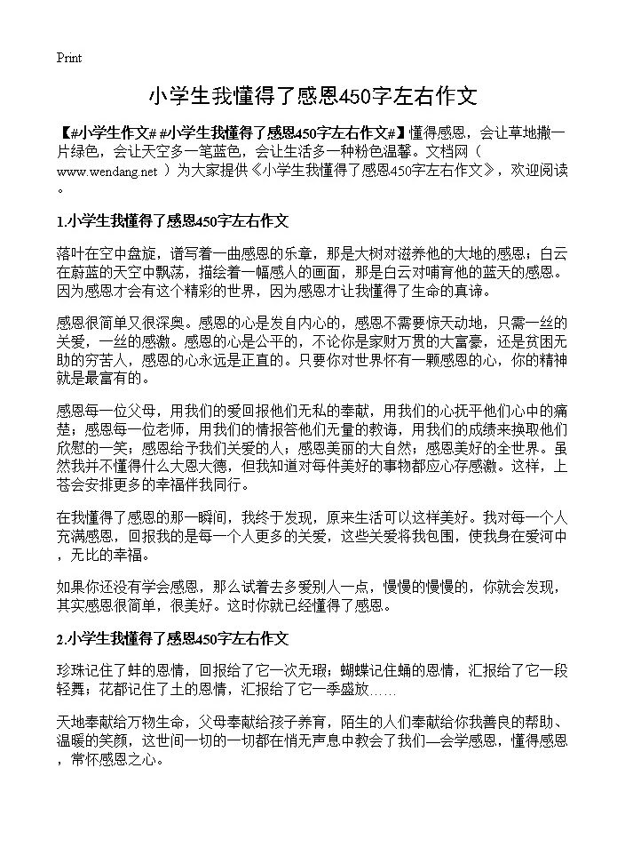 小学生我懂得了感恩450字左右作文