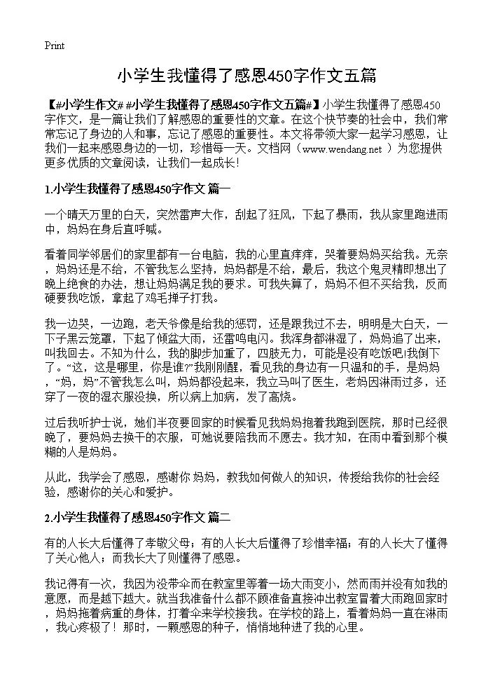 小学生我懂得了感恩450字作文五篇