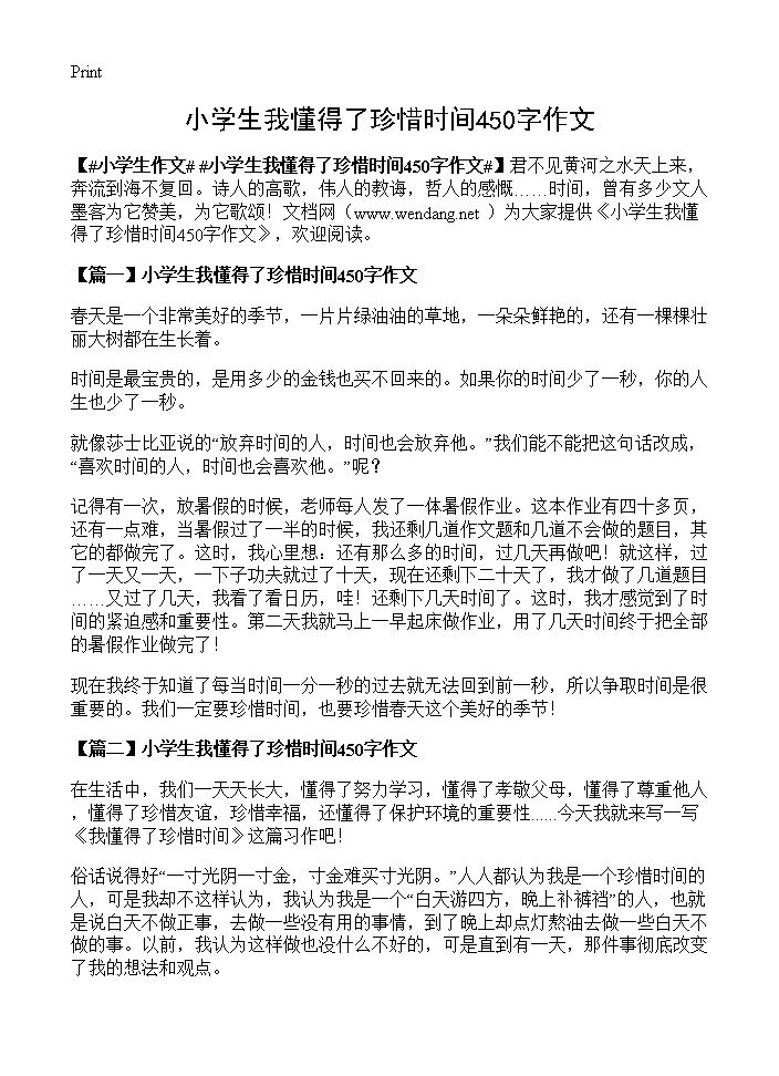 小学生我懂得了珍惜时间450字作文