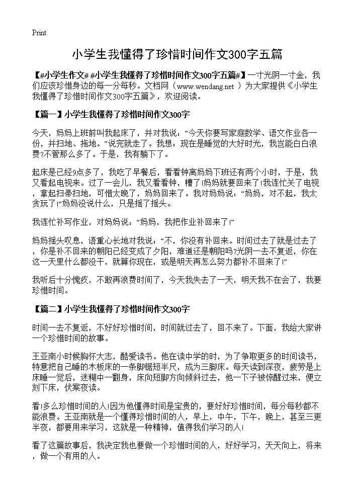 小学生我懂得了珍惜时间作文300字五篇