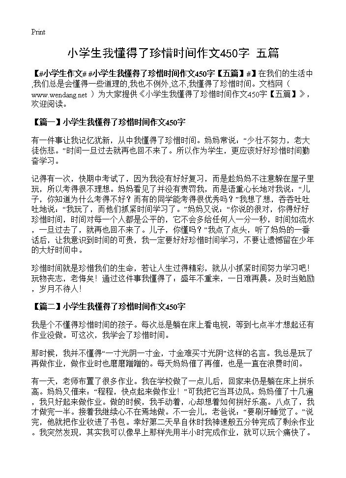 小学生我懂得了珍惜时间作文450字