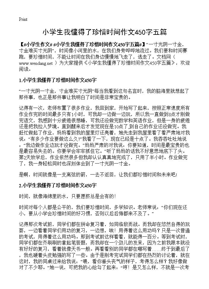 小学生我懂得了珍惜时间作文450字五篇