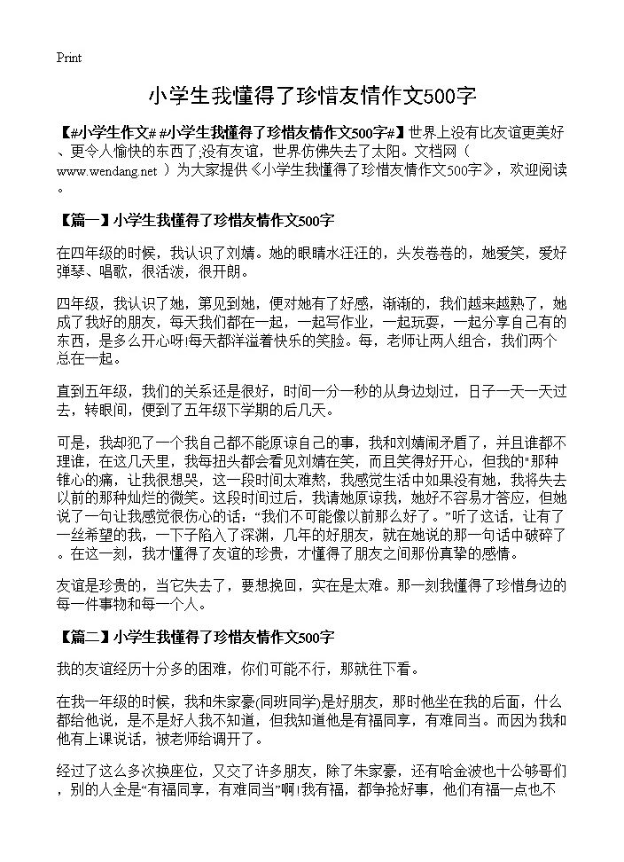 小学生我懂得了珍惜友情作文500字