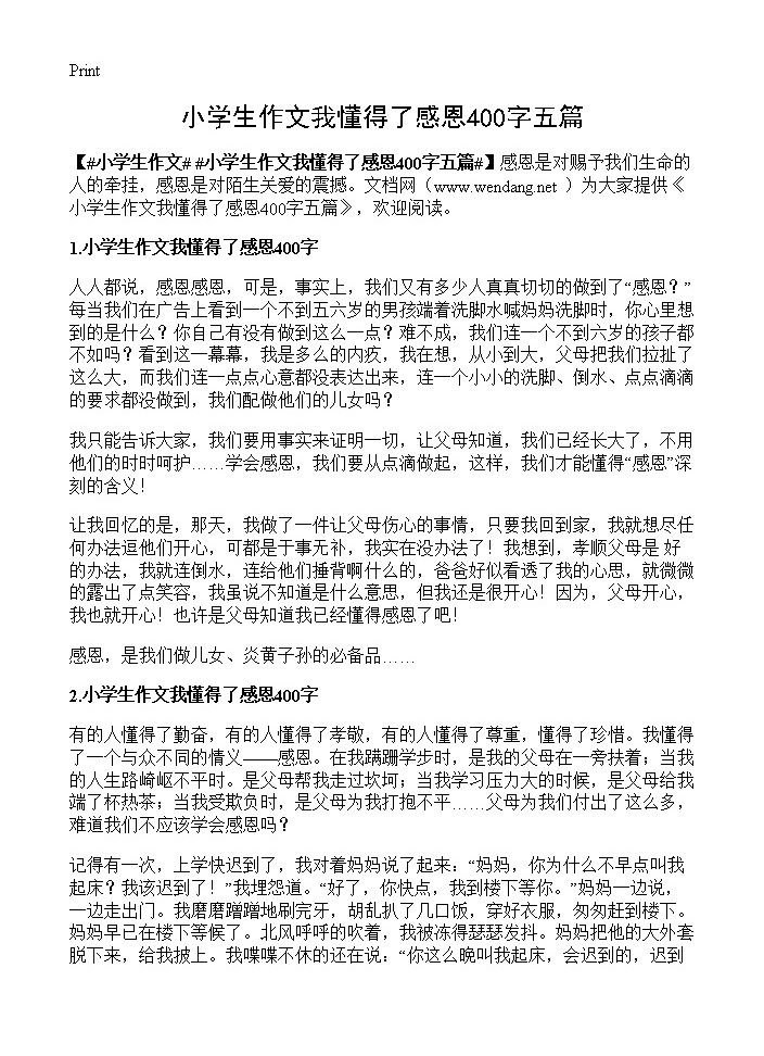 小学生作文我懂得了感恩400字五篇