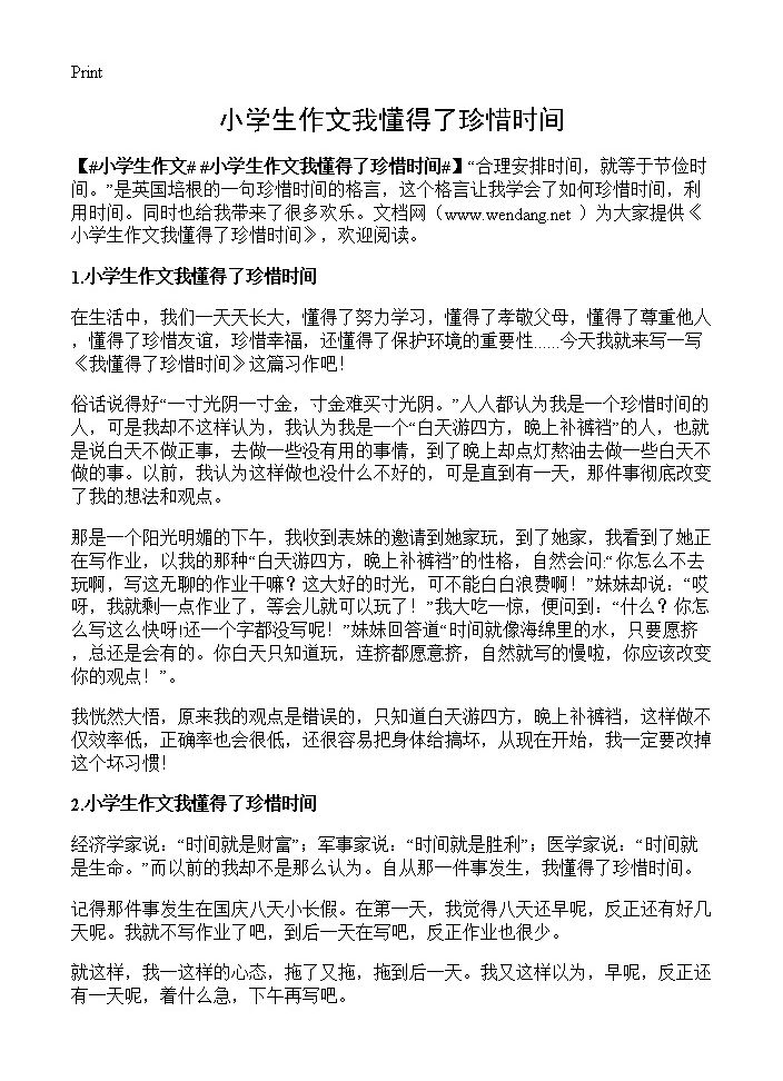 小学生作文我懂得了珍惜时间