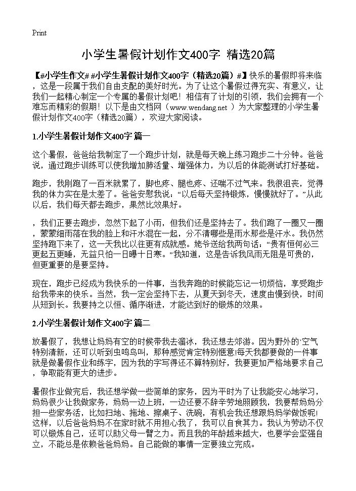 小学生暑假计划作文400字20篇