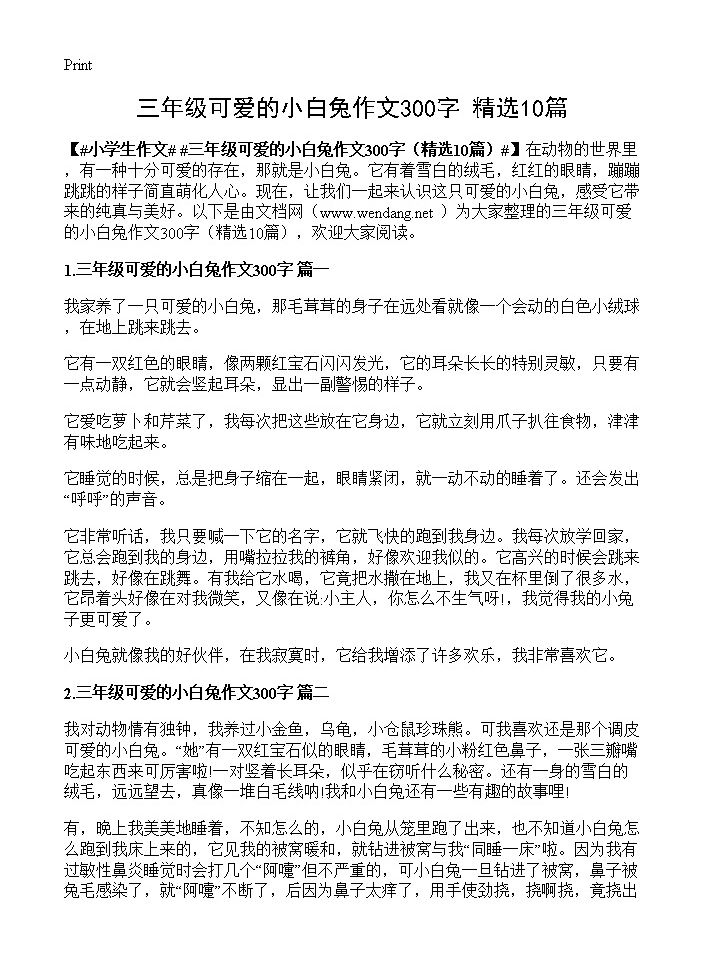 三年级可爱的小白兔作文300字10篇