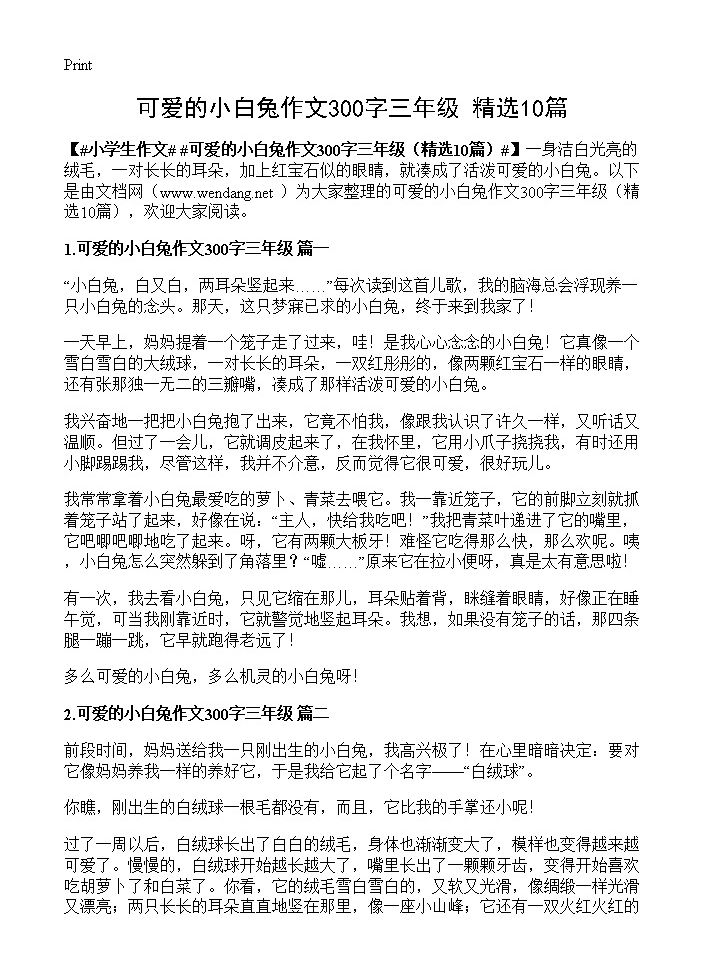 可爱的小白兔作文300字三年级10篇