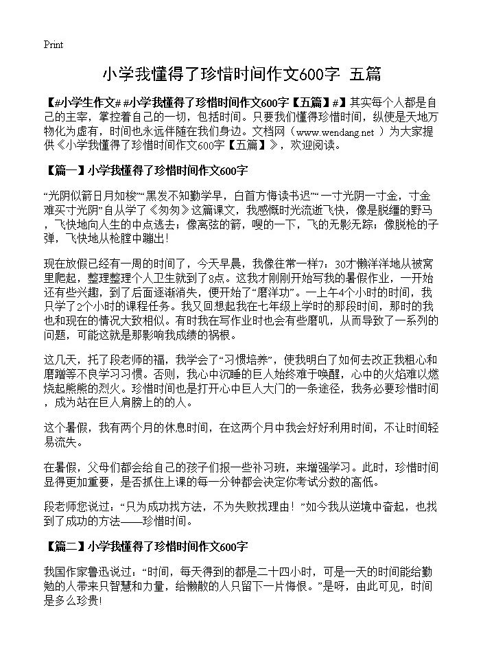 小学我懂得了珍惜时间作文600字