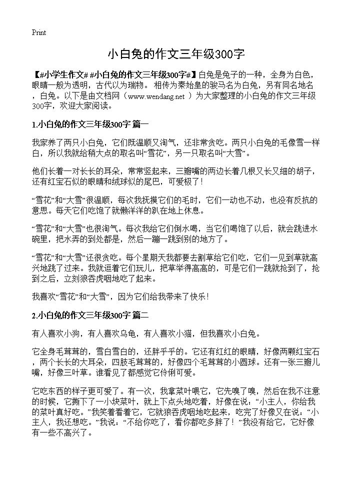 小白兔的作文三年级300字