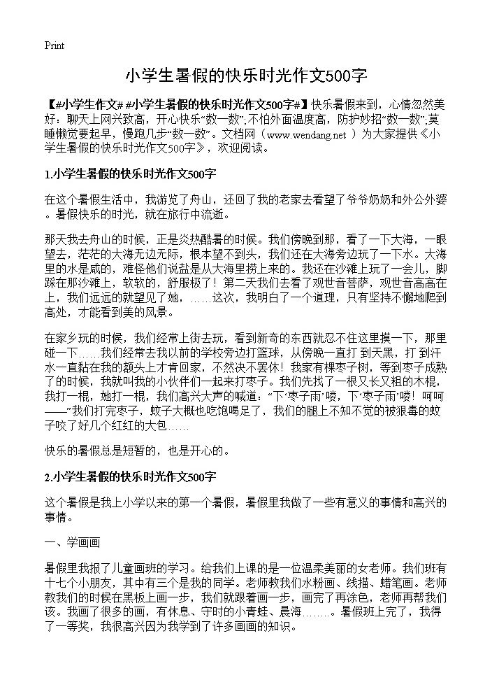 小学生暑假的快乐时光作文500字