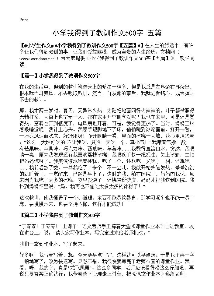 小学我得到了教训作文500字