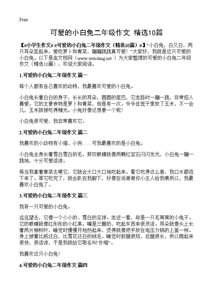 可爱的小白兔二年级作文10篇