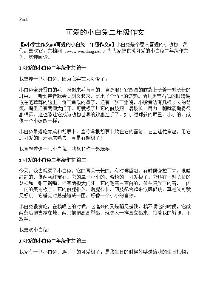 可爱的小白兔二年级作文