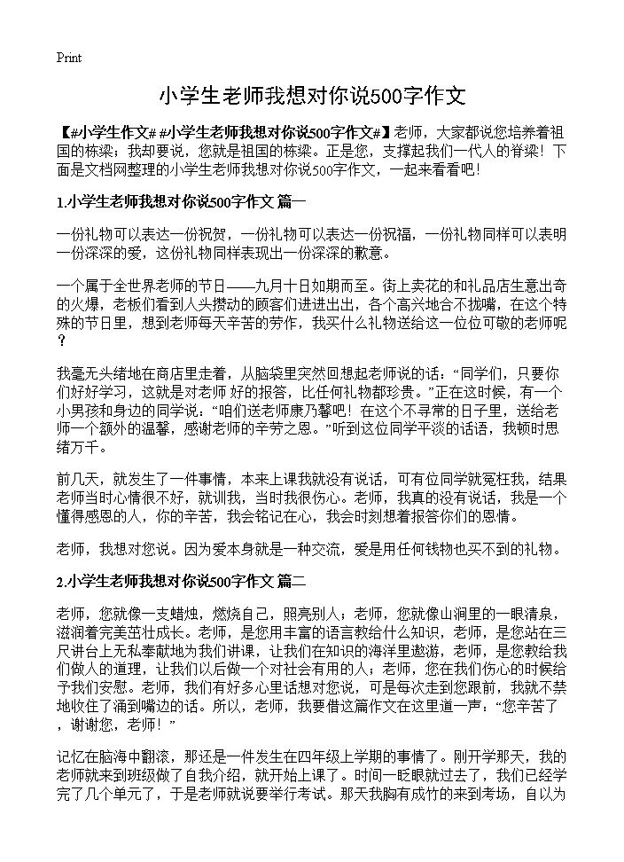 小学生老师我想对你说500字作文