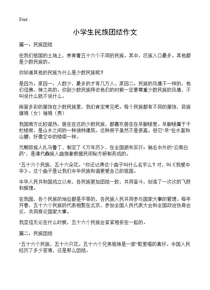 小学生民族团结作文