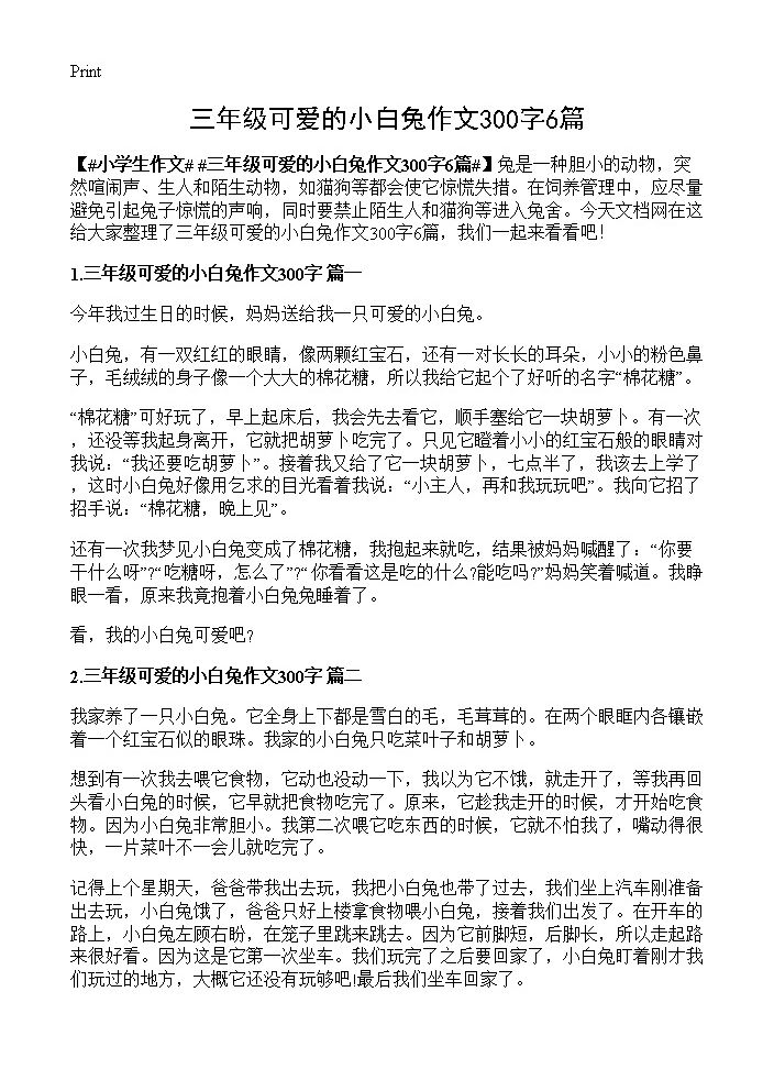 三年级可爱的小白兔作文300字6篇