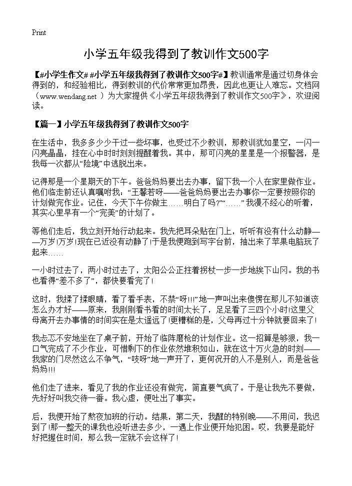 小学五年级我得到了教训作文500字