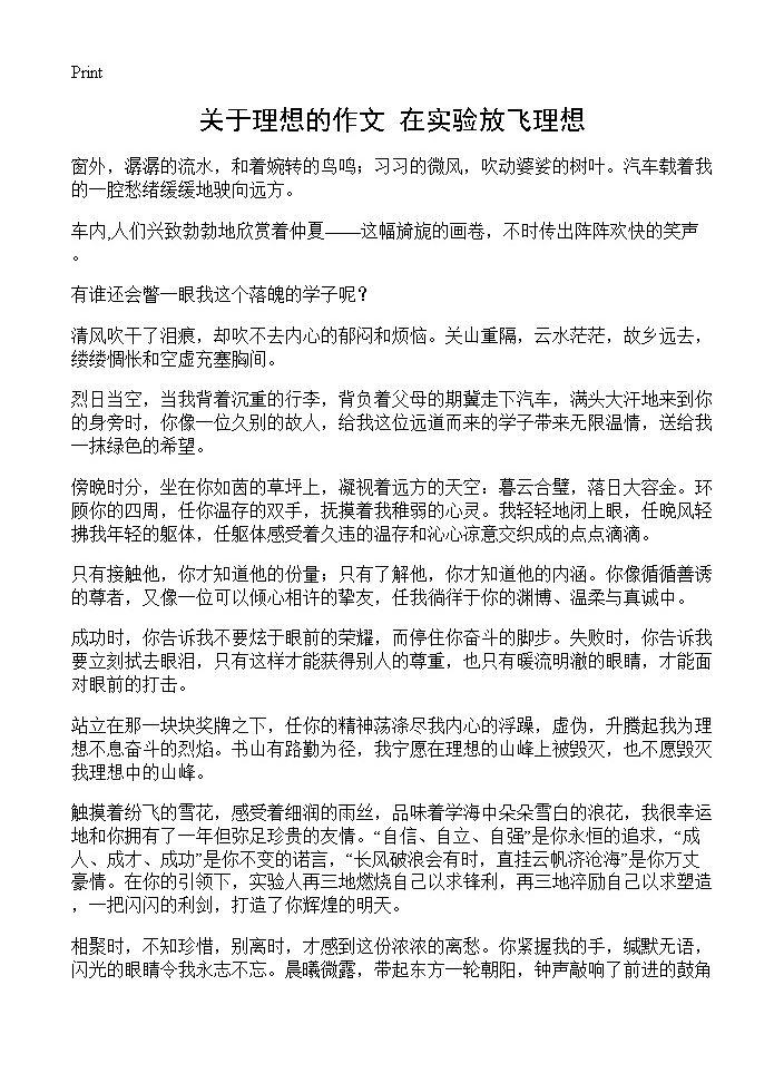 关于理想的作文 在实验放飞理想