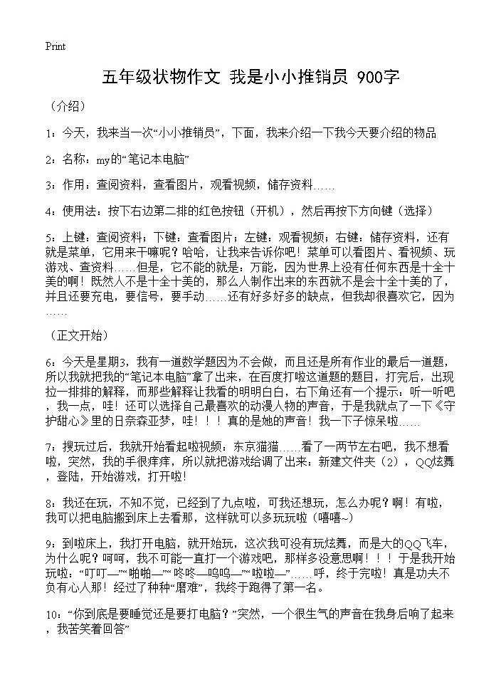 五年级状物作文 我是小小推销员 900字