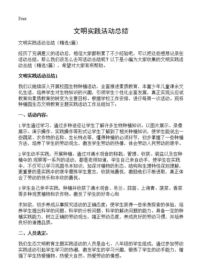 文明实践活动总结5篇