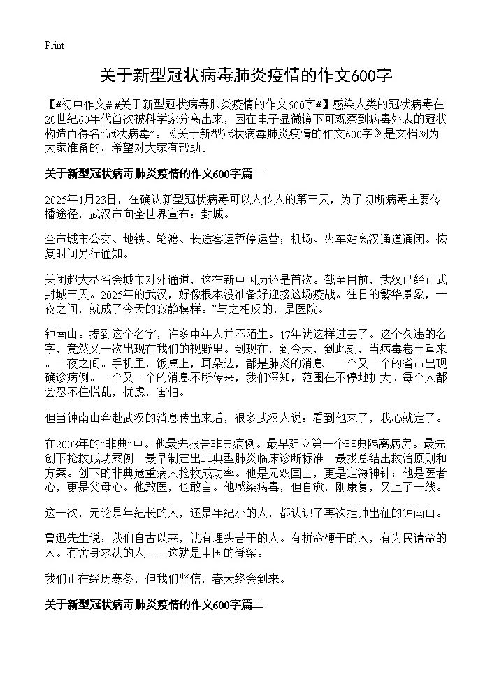 关于新型冠状病毒肺炎疫情的作文600字