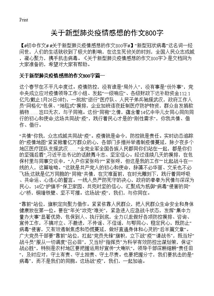 关于新型肺炎疫情感想的作文800字