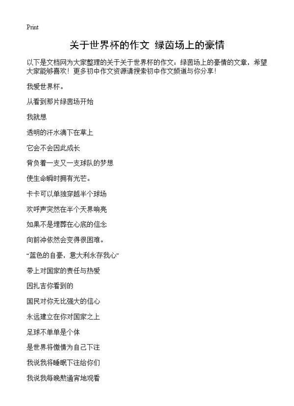 关于世界杯的作文 绿茵场上的豪情