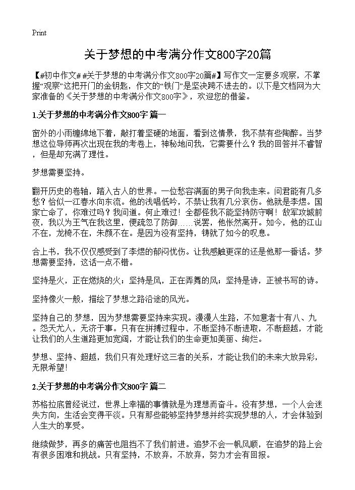 关于梦想的中考满分作文800字20篇