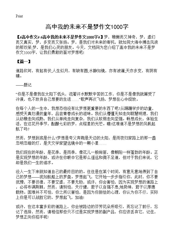 高中我的未来不是梦作文1000字