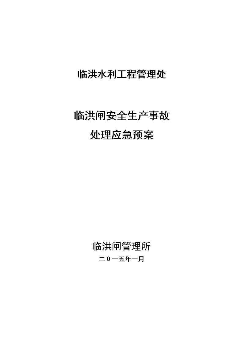 临洪闸安全生产事故处理应急预案