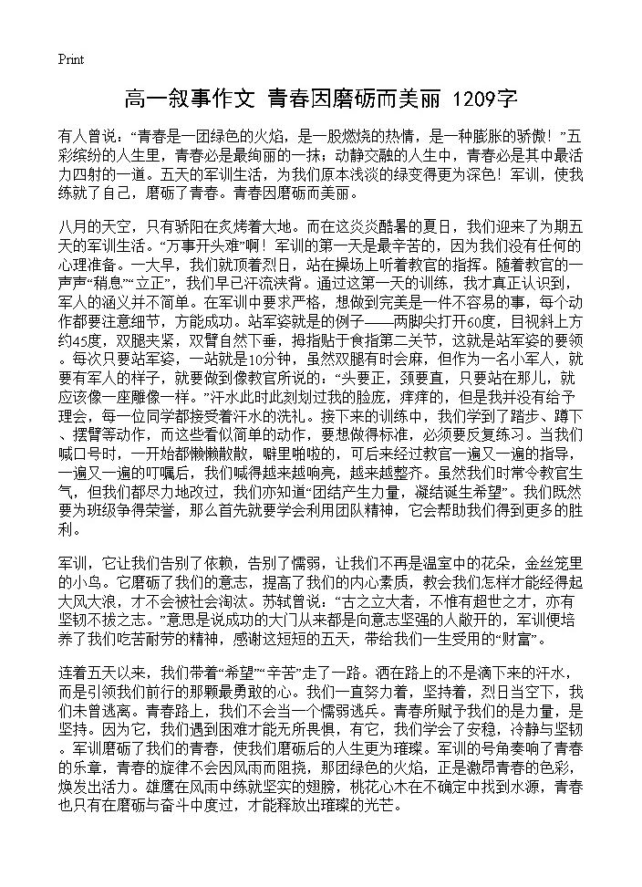 高一叙事作文 青春因磨砺而美丽 1209字