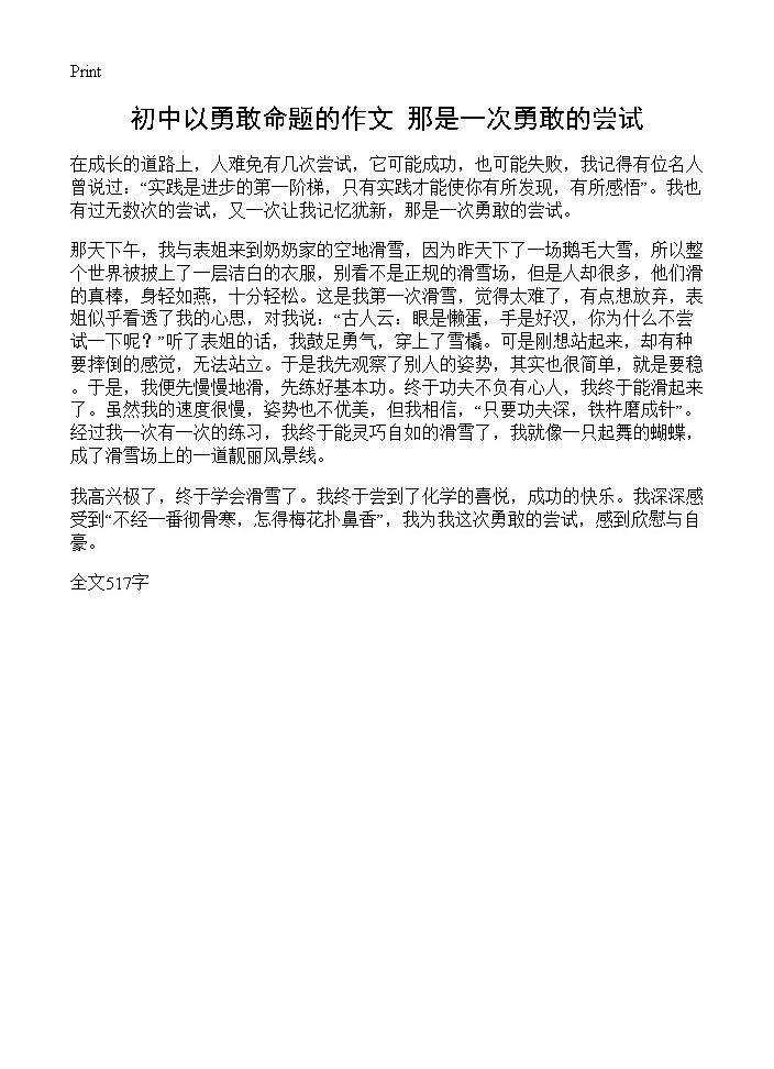 初中以勇敢命题的作文 那是一次勇敢的尝试