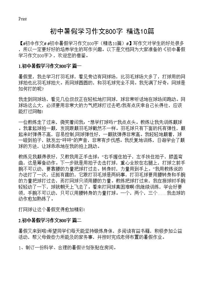 初中暑假学习作文800字10篇