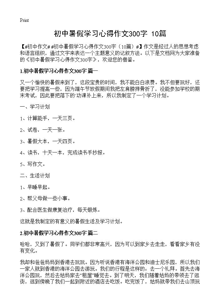 初中暑假学习心得作文300字10篇