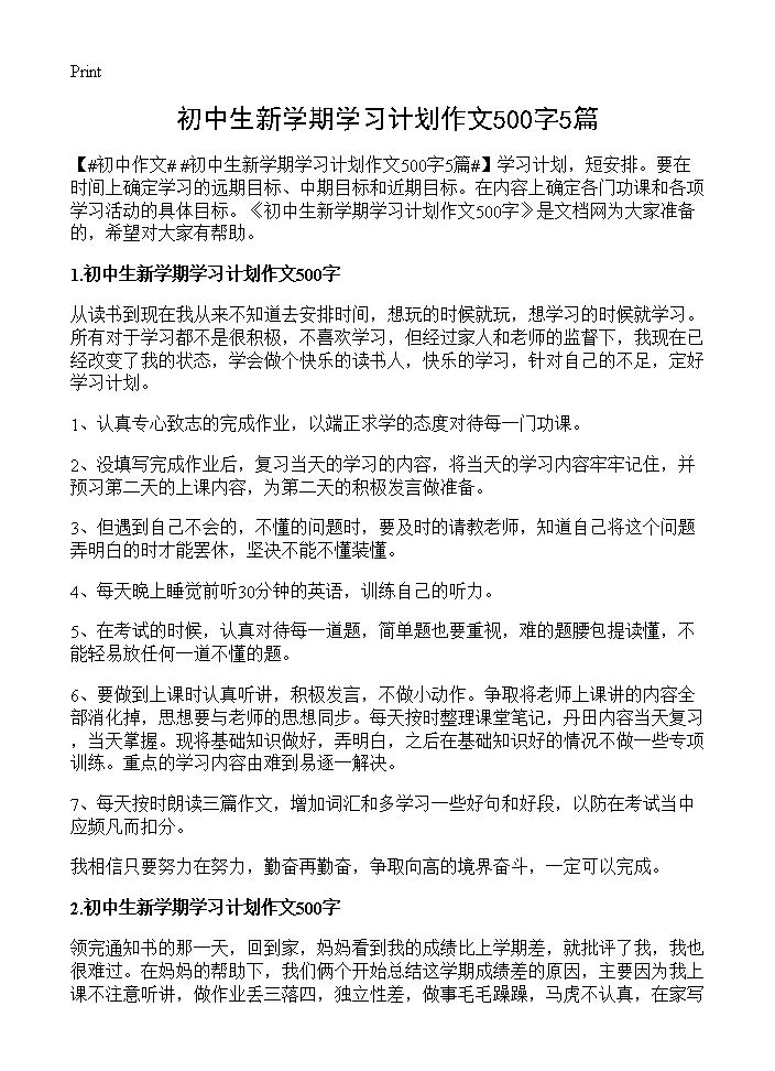 初中生新学期学习计划作文500字5篇