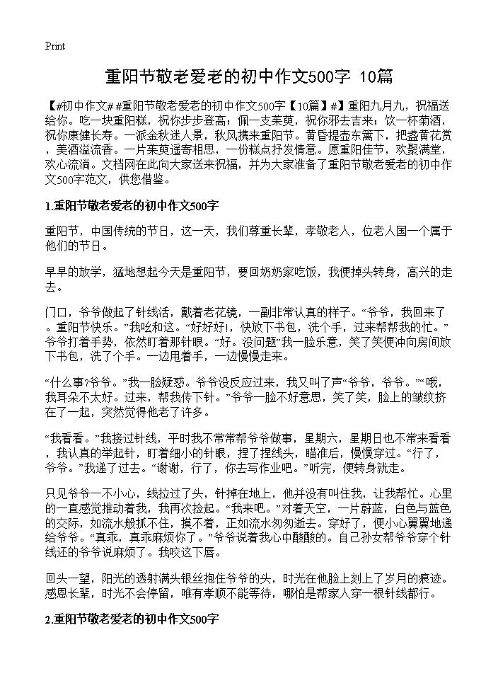 重阳节敬老爱老的初中作文500字