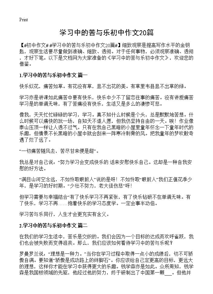 学习中的苦与乐初中作文20篇