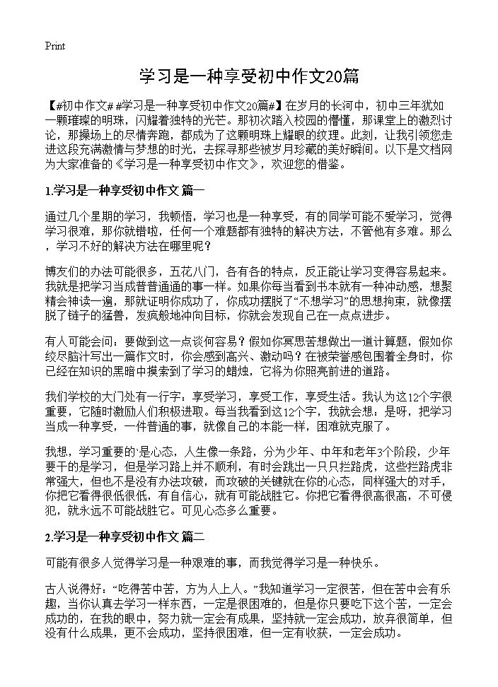 学习是一种享受初中作文20篇