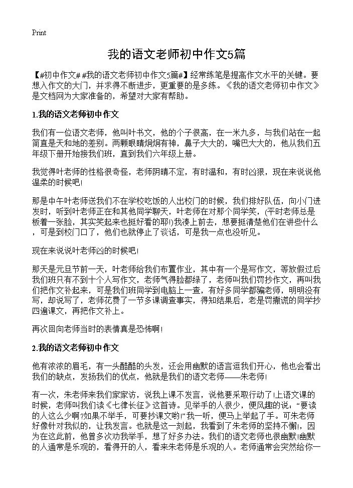 我的语文老师初中作文5篇