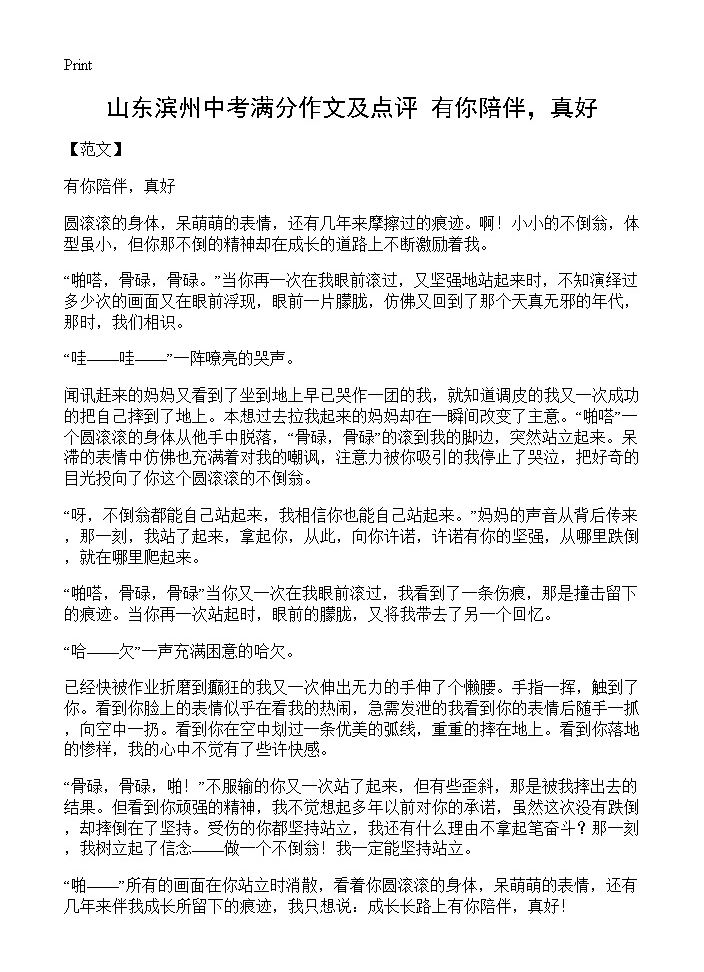 山东滨州中考满分作文及点评 有你陪伴，真好